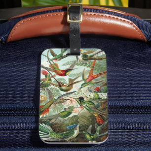 Hummingbirds by Ernst Haeckel, Vintage Birds Trees Luggage Tag