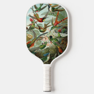 Hummingbirds by Ernst Haeckel, Vintage Birds Trees Pickleball Paddle