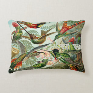 Hummingbirds by Haeckel Trochilidae Decorative Cushion
