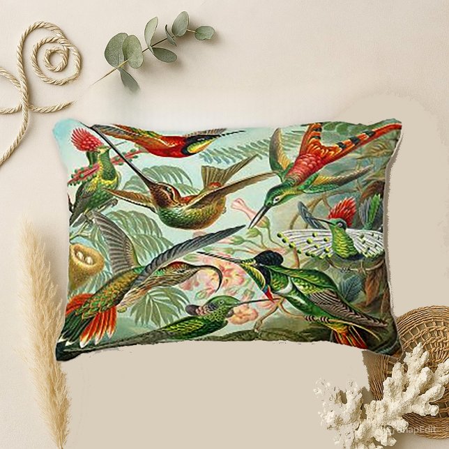 Hummingbirds by Haeckel Trochilidae Decorative Cushion (Creator Uploaded)