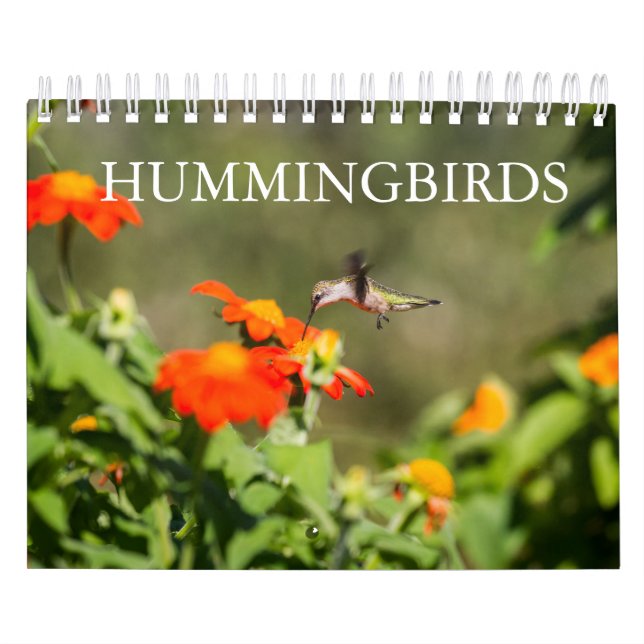 Hummingbirds Calendar (Cover)