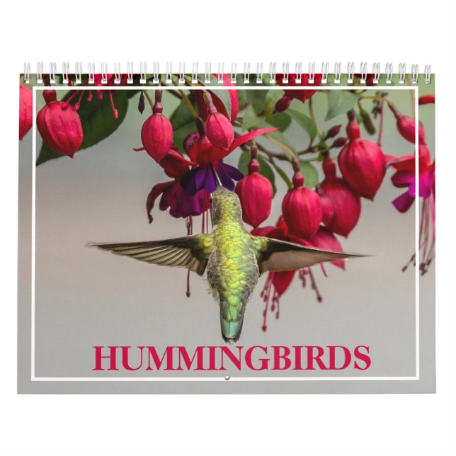 Hummingbirds  calendar (Cover)
