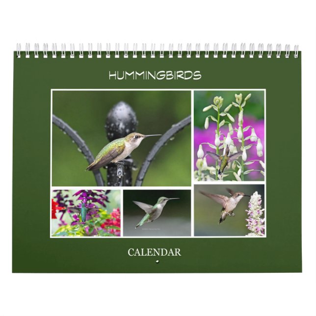 Hummingbirds Calendar (Cover)
