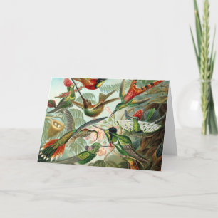 Hummingbirds Card