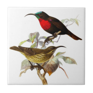 Hummingbirds Ceramic Tile