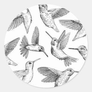 Hummingbirds Classic Round Sticker