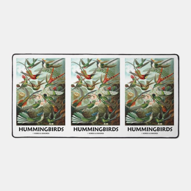 Hummingbirds Ernest Haeckel Artforms Of Nature Desk Mat (Front)