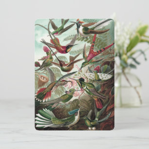  Hummingbirds - Ernst Haeckel Invitation