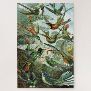Hummingbirds - Ernst Haeckel Jigsaw Puzzle