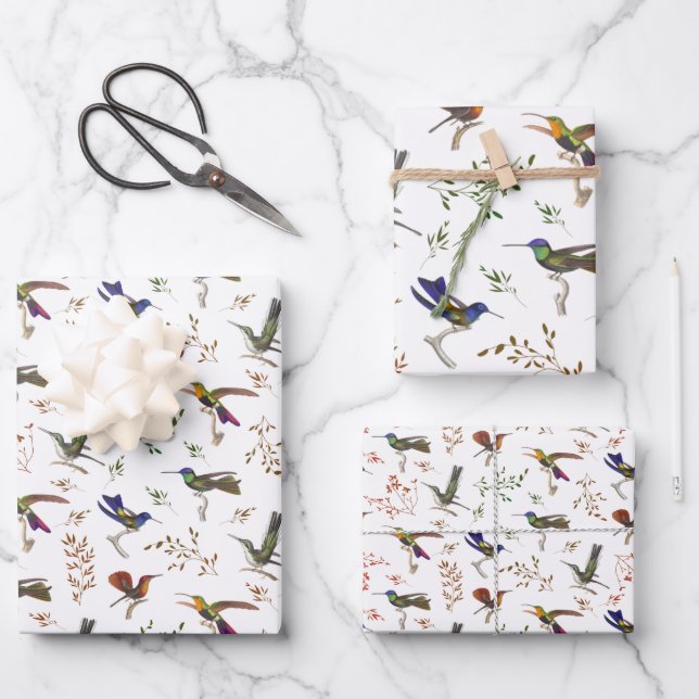 Hummingbirds Floral Colorful Bird Watcher Wrapping Paper Sheet (Front)