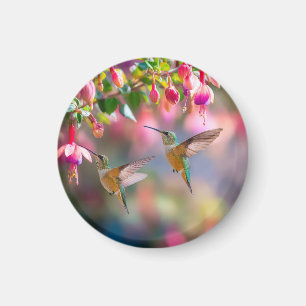 Hummingbirds Fuchsia Flowers Iridescent Glow Magnet