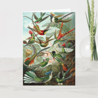 Hummingbirds Greeting Card