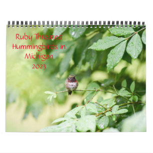 Hummingbirds in Michigan Calendar