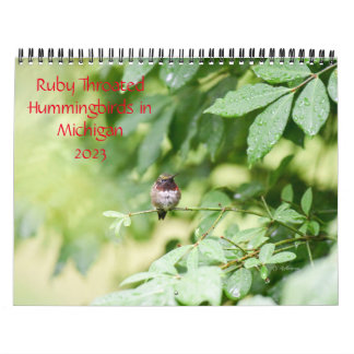 Hummingbirds in Michigan Calendar