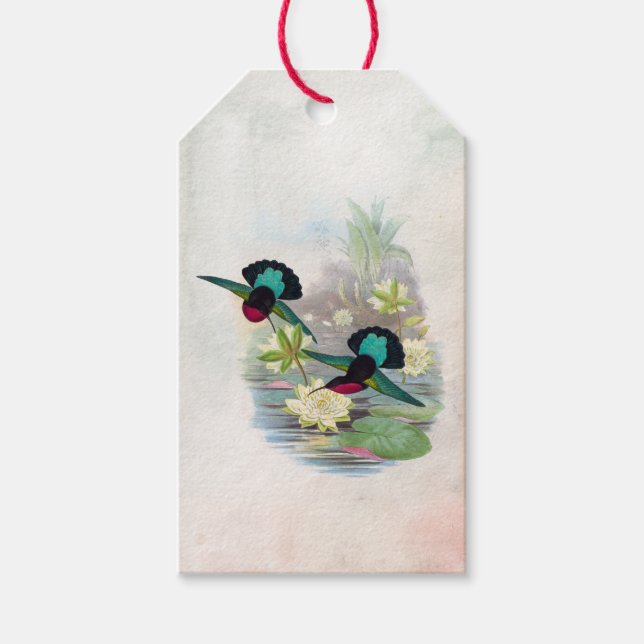 Hummingbirds Lotus Pond Brilliant Gift Tag (Front)