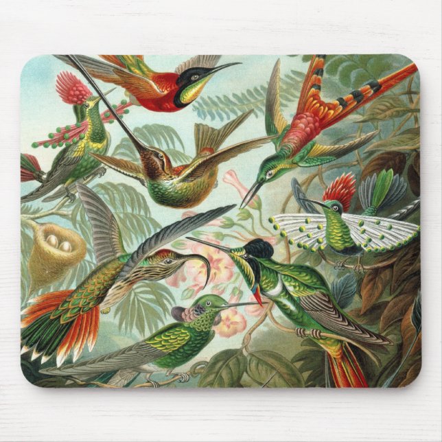 Hummingbirds Mouse Pad (Front)