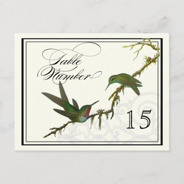 Hummingbirds n Swirls -  Table Placecard Numbers Postcard (Front)