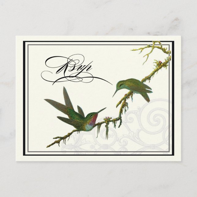 Hummingbirds n Swirls -  Wedding Postcard RSVP (Front)