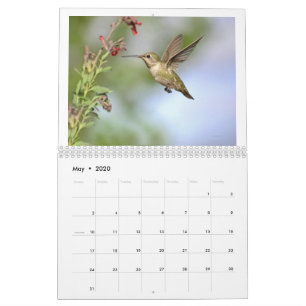 Hummingbirds of California 2021 Calendar