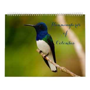 Hummingbirds of Colombia Calendar