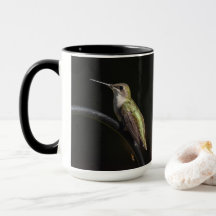 Hummingbirds on Black