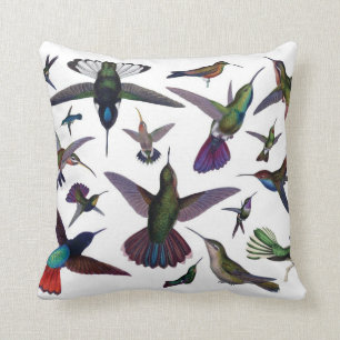 Hummingbirds pillow