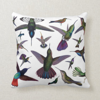 Hummingbirds pillow