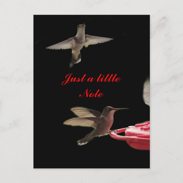 Hummingbirds Postcard #ct98721- customise (Front)