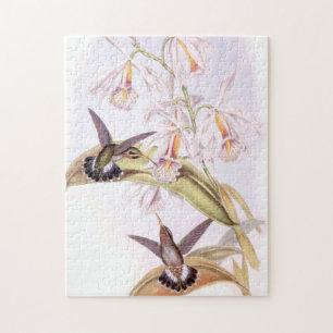 Hummingbirds Puzzle