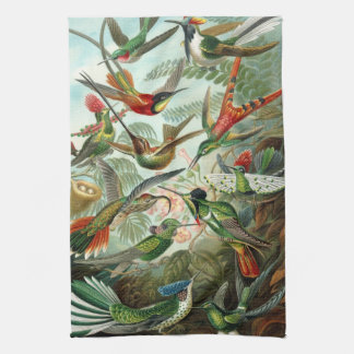 Hummingbirds  tea towel