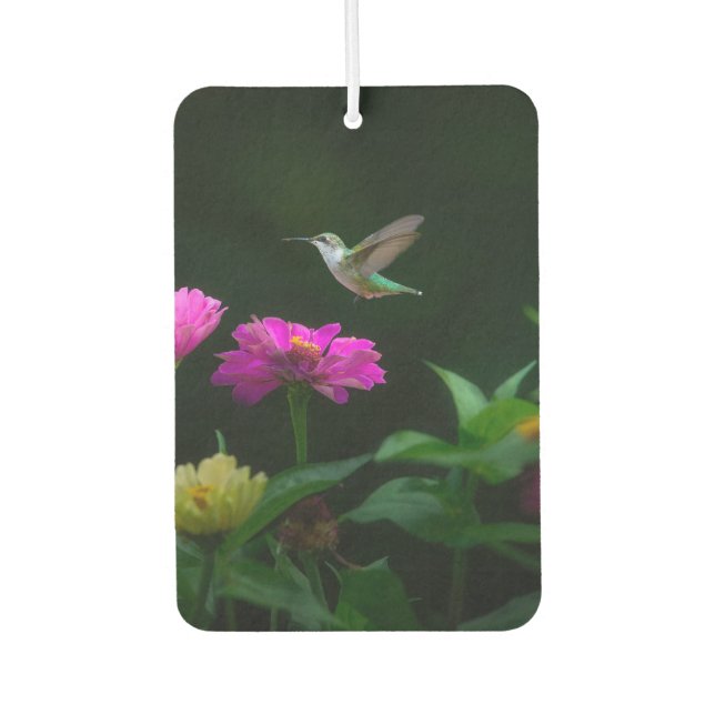 Hummingbirds Times Two Car Air Freshener (Front)