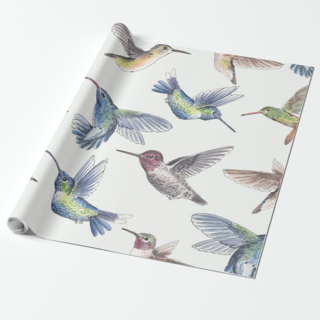 Hummingbirds Wrapping Paper (Unrolled)