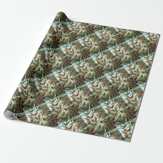 Hummingbirds Wrapping Paper (Unrolled)