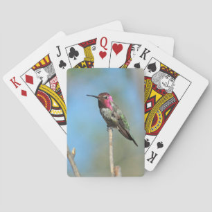 Hummingbnird Playing Cards