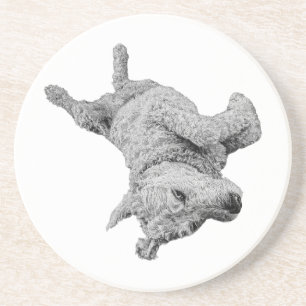 Humor at Rest Coaster