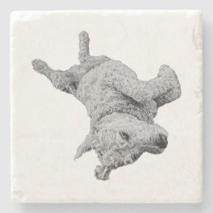 Humor at Rest Stone Coaster