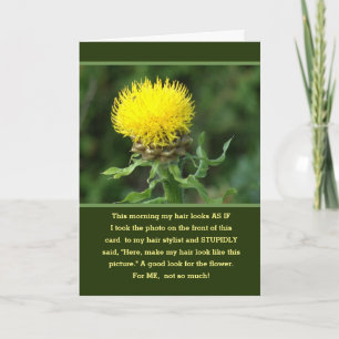 HUMOR/ MY BAD HAIR DAY/"SO HOW YOU DOIN"? CARD