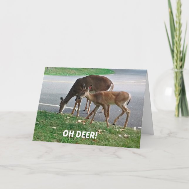 Humorous belated Birthday wishes Card (Front)