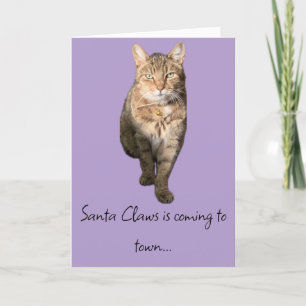 Humorous Christmas card with a charming tabby cat