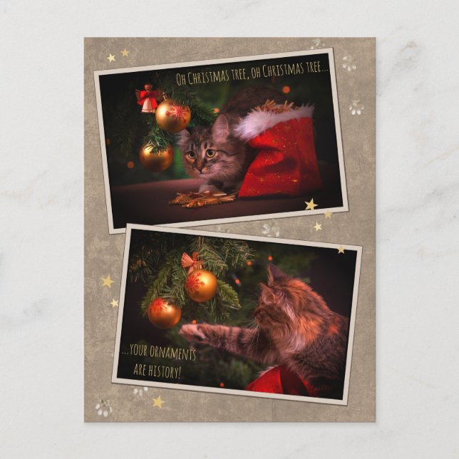 Humorous Christmas Cat Postcard (Front)