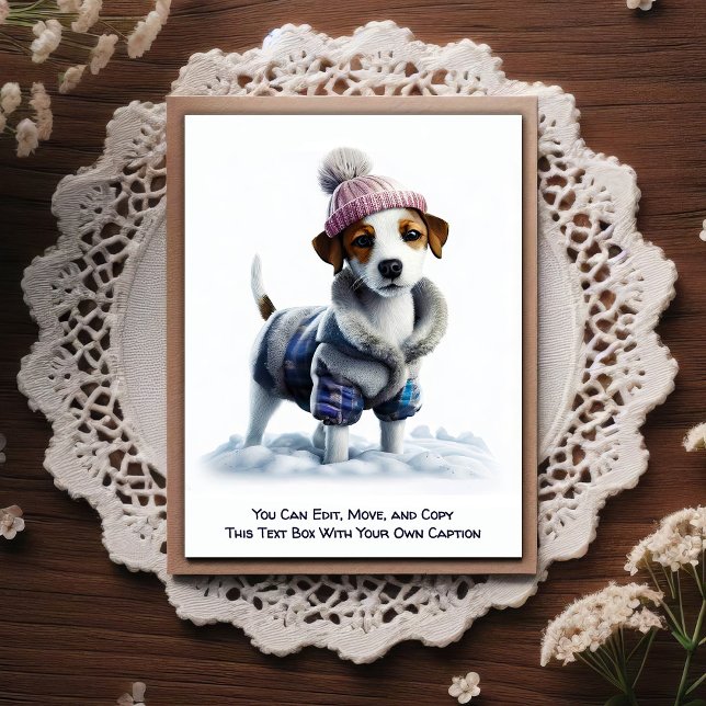 Humorous Customizable Any Occasion Postcard (Creator Uploaded)