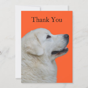 Humorous, Fun Thank You Card with Polish Tatra Dog