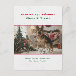 Humorous Funny Pet Dog Photo Christmas Postcard