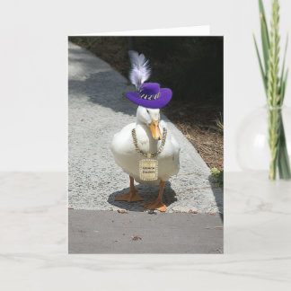 Humorous Greeting Cards