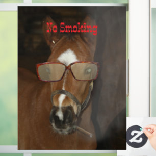 Humorous Horse Foal Smoking Cigar Window Cling