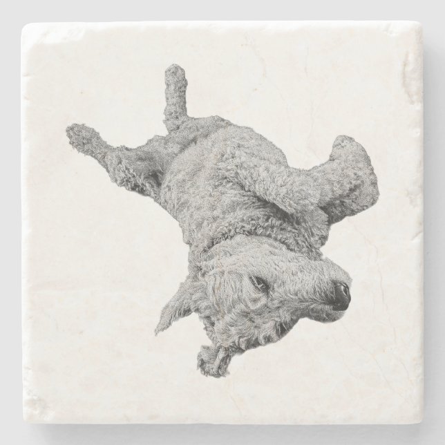 Humour at Rest Stone Coaster (Front)