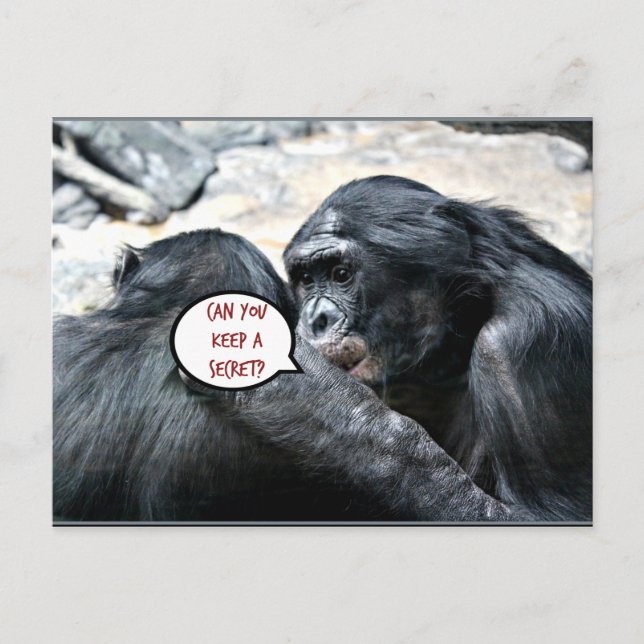 Humour - Can you keep a secret? Postcard (Front)