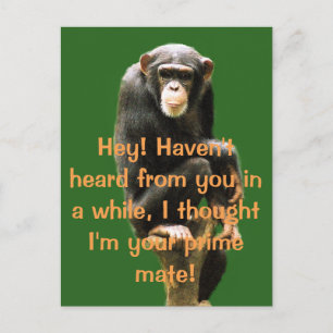 Humour Post Card