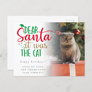 Humour Santa It Was The Cat Photo Holiday Postcard