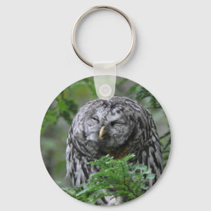 Humourous Barred Owl Key Ring